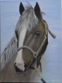 /album/fenykepgaleria/horse-jpg/